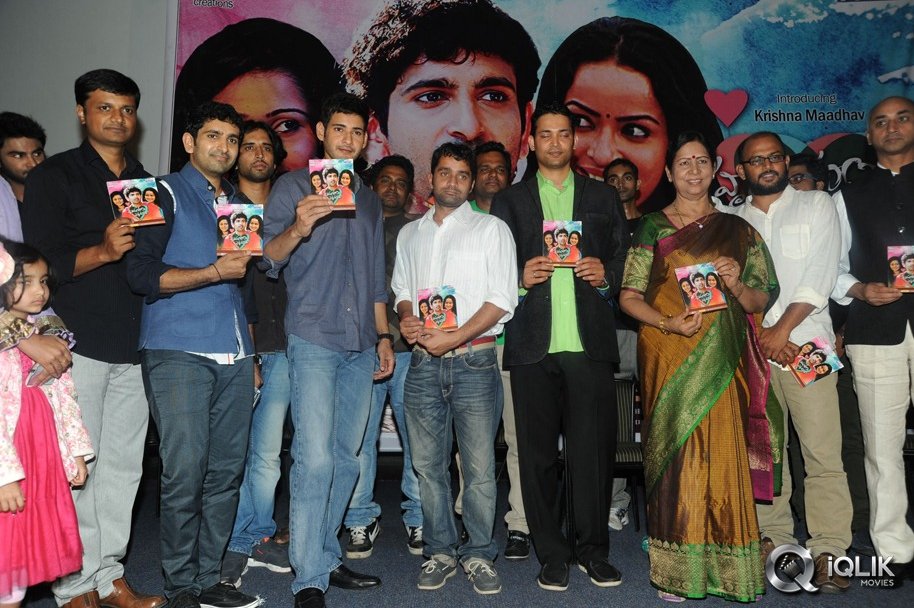 Hrudayam-Ekkadunnadi-Movie-Audio-Launch
